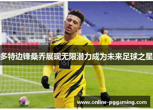 多特边锋桑乔展现无限潜力成为未来足球之星