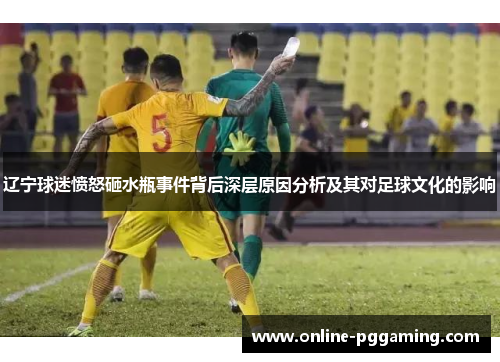 辽宁球迷愤怒砸水瓶事件背后深层原因分析及其对足球文化的影响