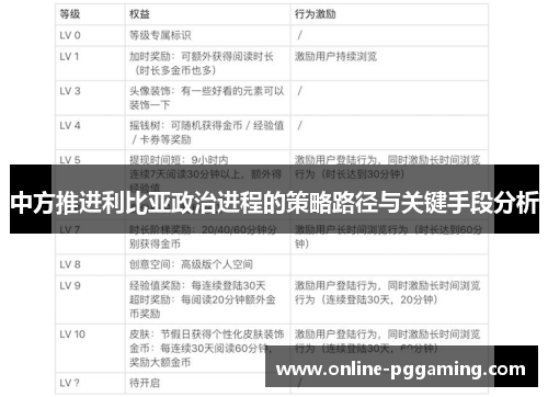 中方推进利比亚政治进程的策略路径与关键手段分析