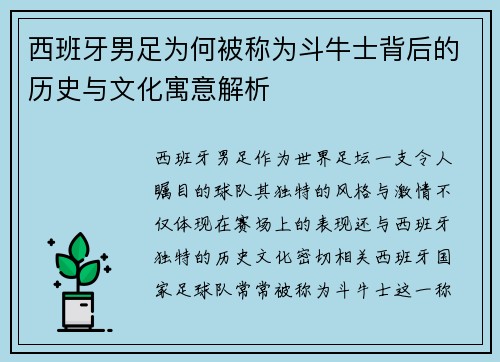 西班牙男足为何被称为斗牛士背后的历史与文化寓意解析