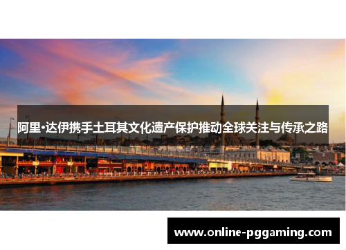 阿里·达伊携手土耳其文化遗产保护推动全球关注与传承之路 阿里·达伊携手土耳其文化遗产保护推动全球关注与传承之路