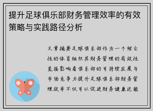 提升足球俱乐部财务管理效率的有效策略与实践路径分析